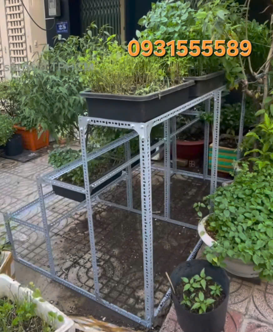 kệ sắt v lỗ trồng rau